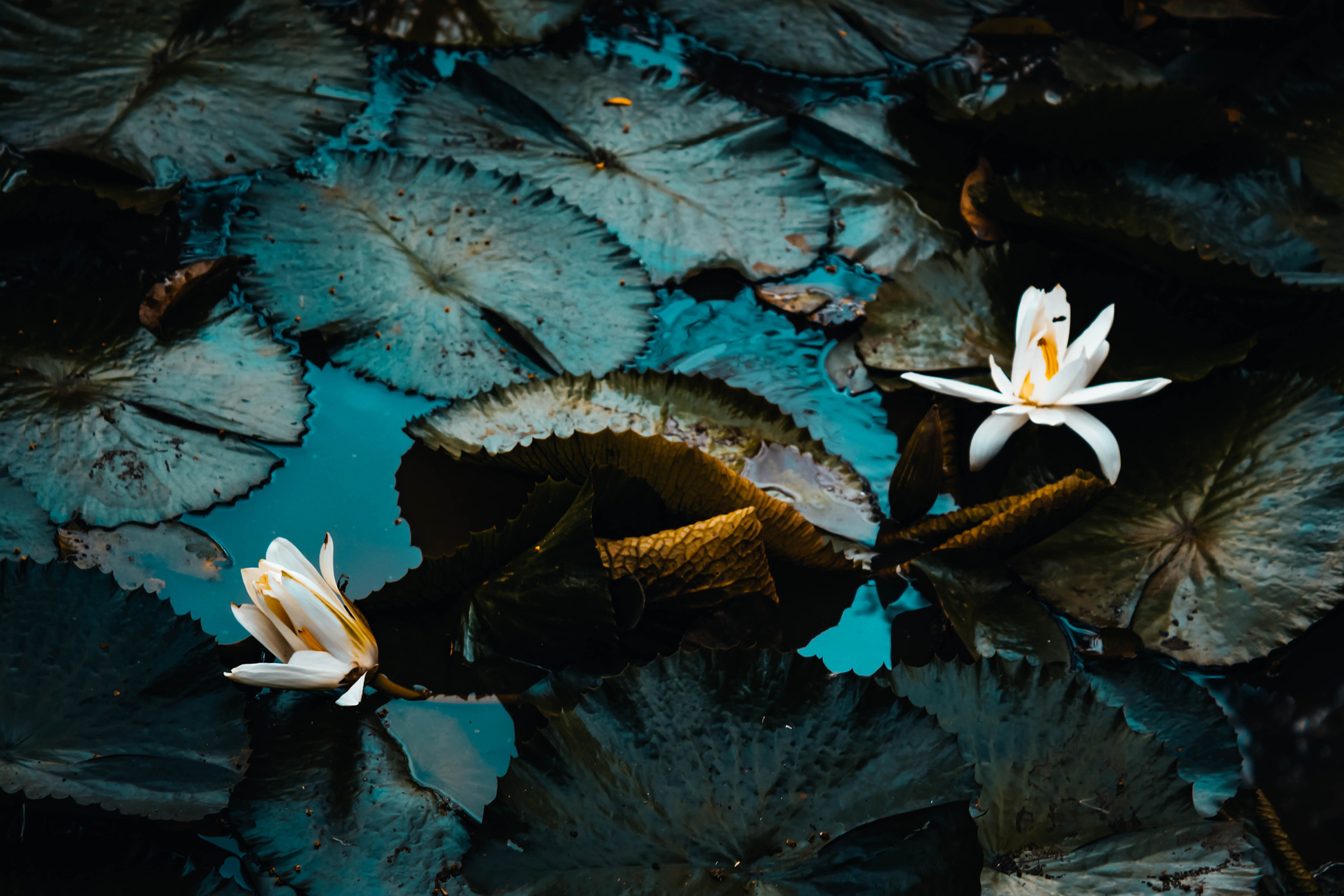 Matrix holistic deliverables